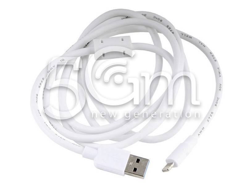 Foxconn Highspeed Lightning to USB Testing Cable