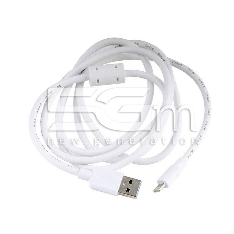 Foxconn Highspeed Lightning to USB Testing Cable