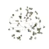 iPhone 6S Screws Kit for Gold Version 