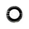 Iphone 6 Plus White Rear Camera Lens