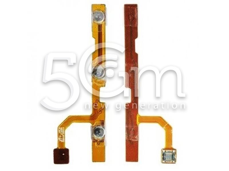 Samsung P1000 Volume Flex Cable