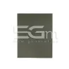 Pellicola X Riparazione Lcd iPad Air 2