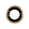 Vetrino + Frame Fotocamera Versione Gold iPad Pro 9.7
