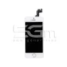 Display Touch Bianco Full Parts iPhone 5S No Logo Flex