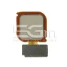 Fingerprint Gold Huawei P10 Lite