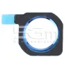 Frame Tasto Home Blu Huawei P20 Lite Ane-LX1 | Store Online 5G-M