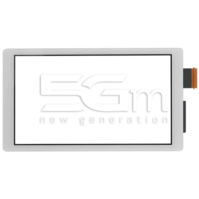 Touch Screen Grigio Nintendo Switch Lite | Store Online 5G-M