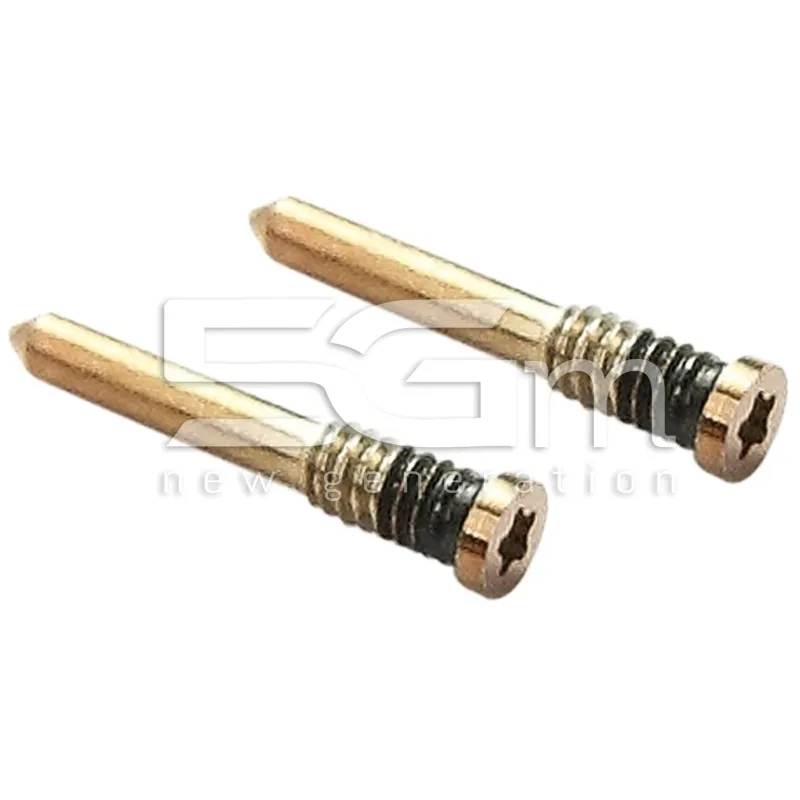 Kit 10 Gouden Sluitingsschroeven iPhone 12 | 5G-M.com
