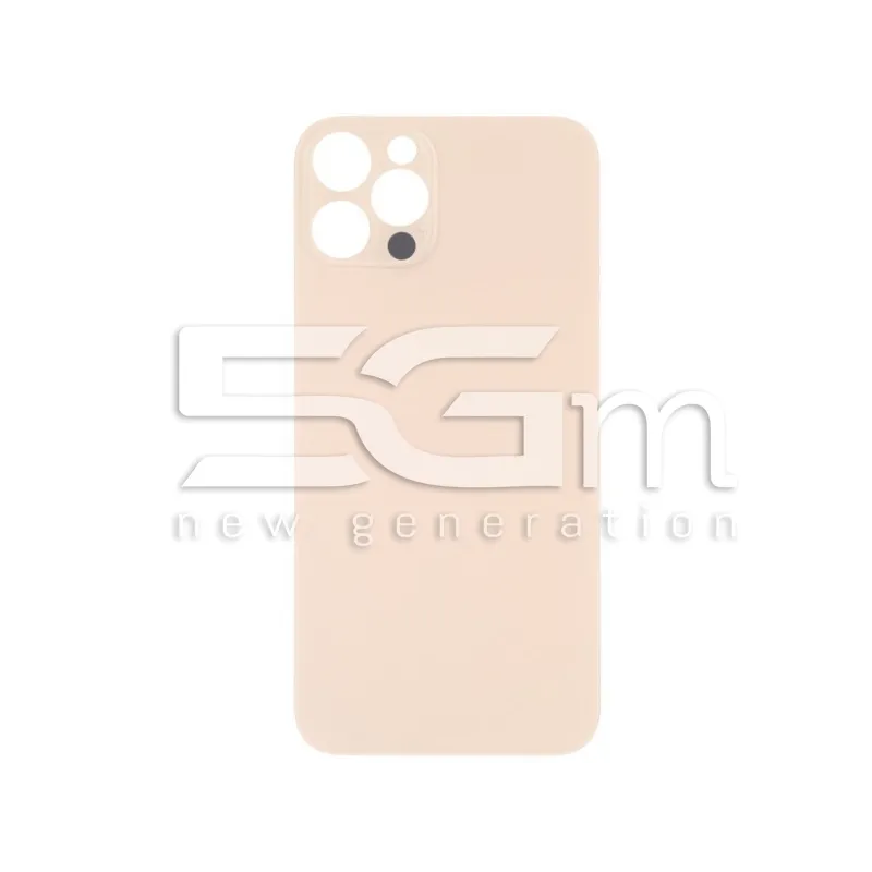Rückseitenabdeckung Gold iPhone 13 Pro Großes Loch (Ohne Logo) | 5G-M