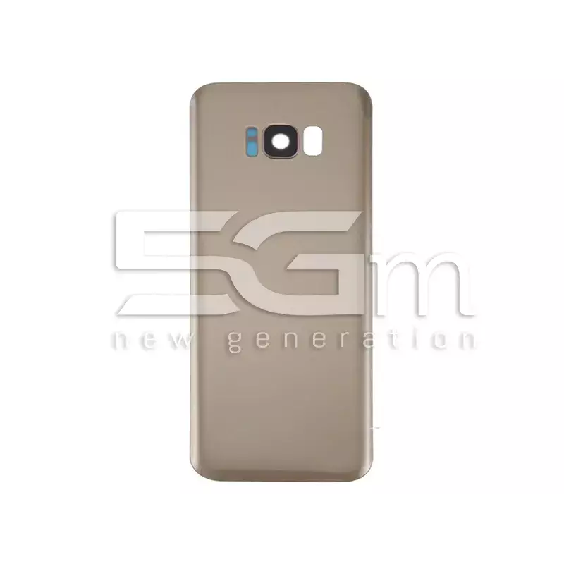 Retro Cover Gold + Vetrino Camera Samsung SM-G955F S8+ No Logo