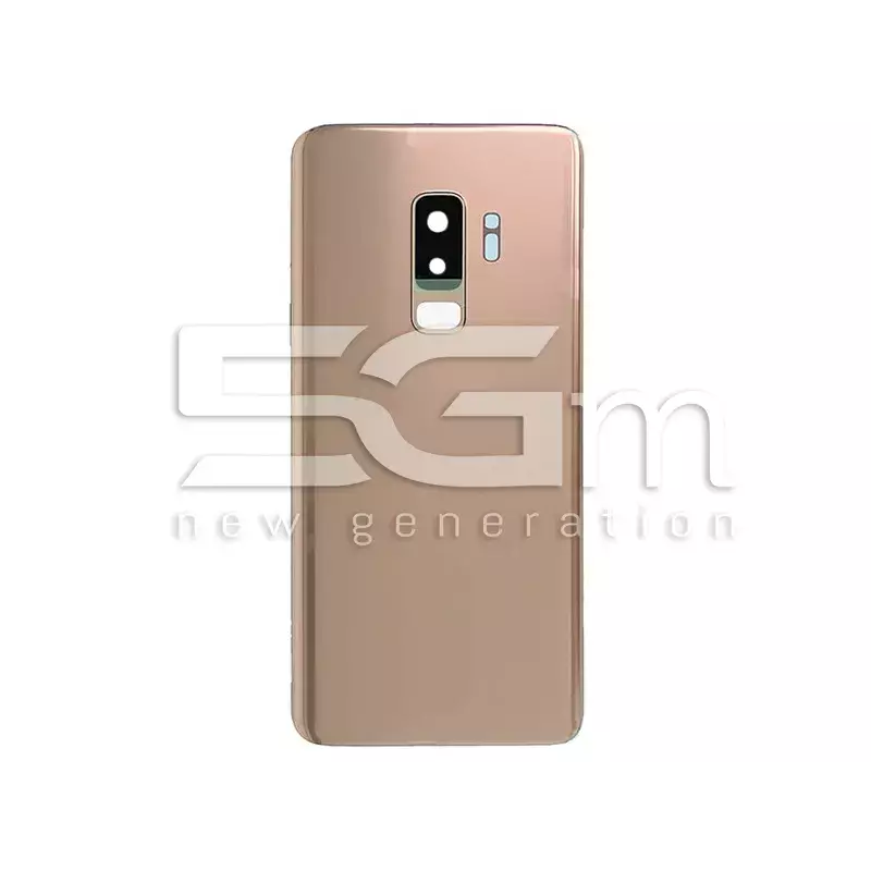 Retro Cover Gold + Vetrino Camera Samsung SM-G965 S9 Plus No Logo