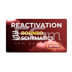 Activation Code Borneo...