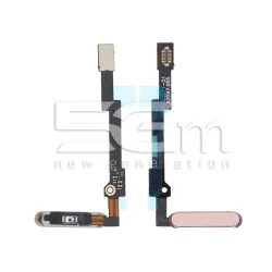 Nappe Capteur Empreinte Digitale Rose iPad Mini 6 Gen | 5G-M.com