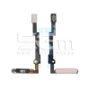 Fingerprint Flex Rosa iPad Mini 6 Gen | Store Online 5G-M