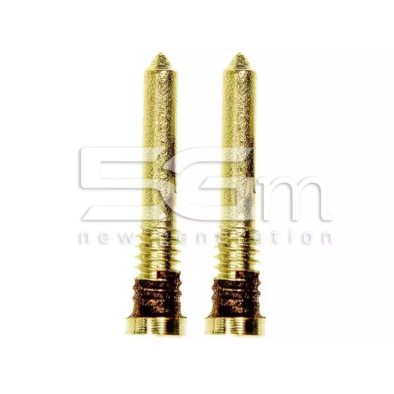 Coppia Viti Connettore Di Ricarica Gold iPhone 12 Pro