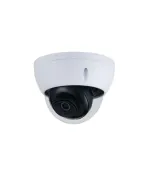 Surveillance