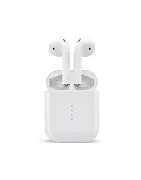 Earphones